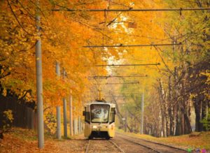 13662259_1343862635641347_4350391788945809966_o