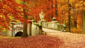 13909038_1343861708974773_4129863399772202291_o